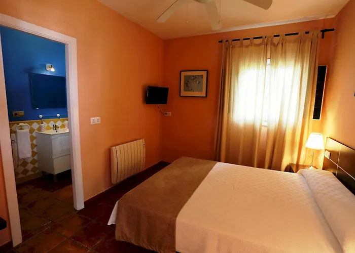 El Celemin De Conil Bed & Breakfast